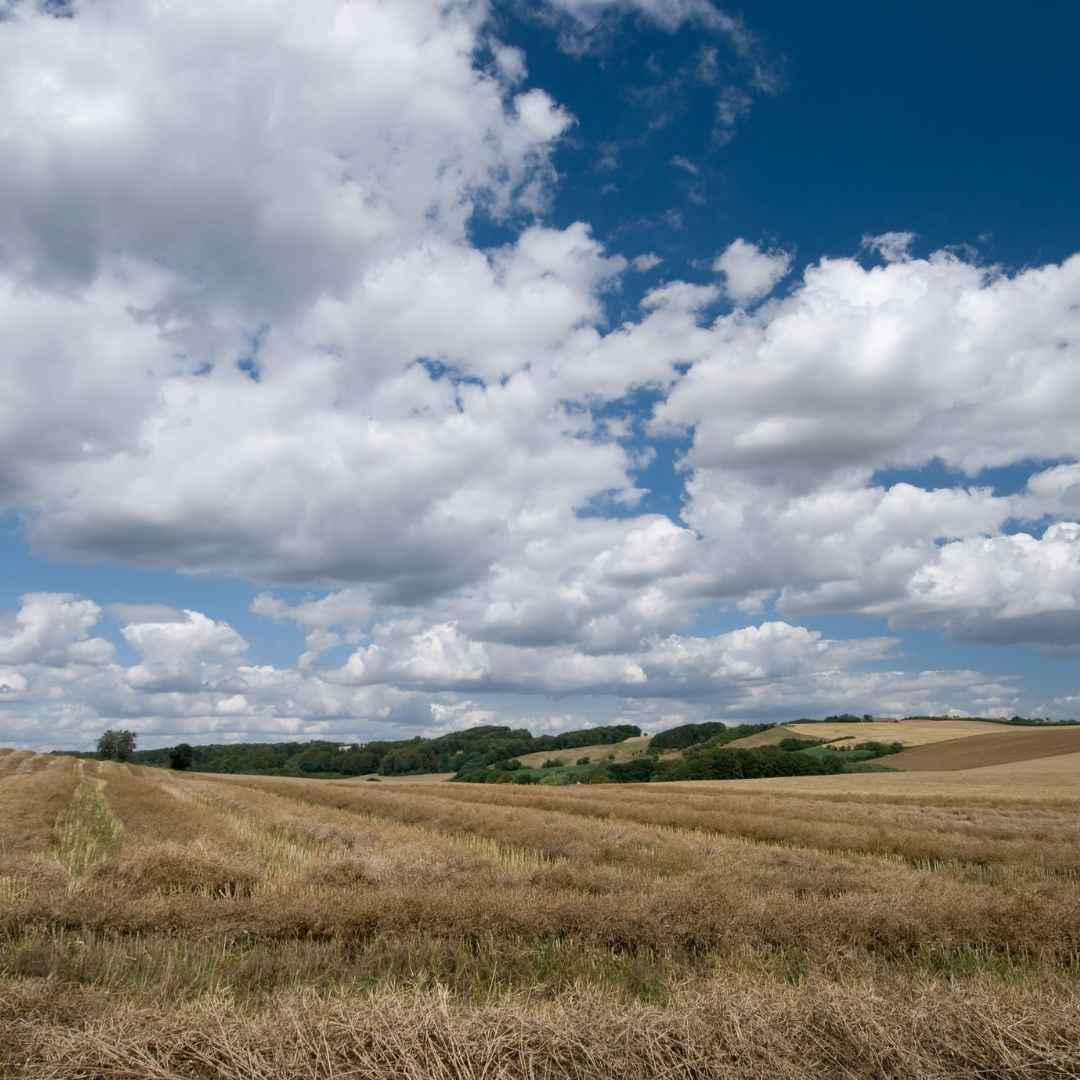 en marked på femø med blå himmel med skyer