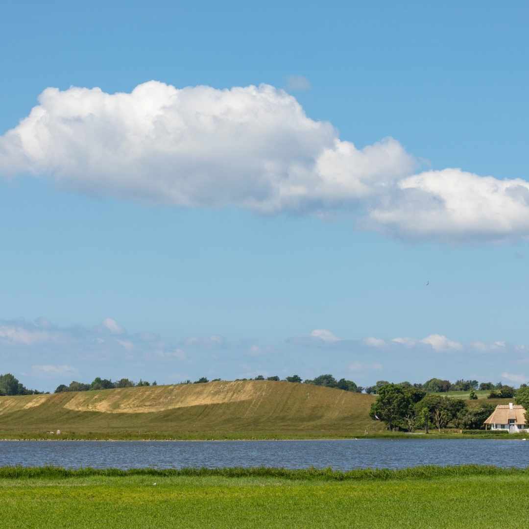 en mark og fjord på langeland
